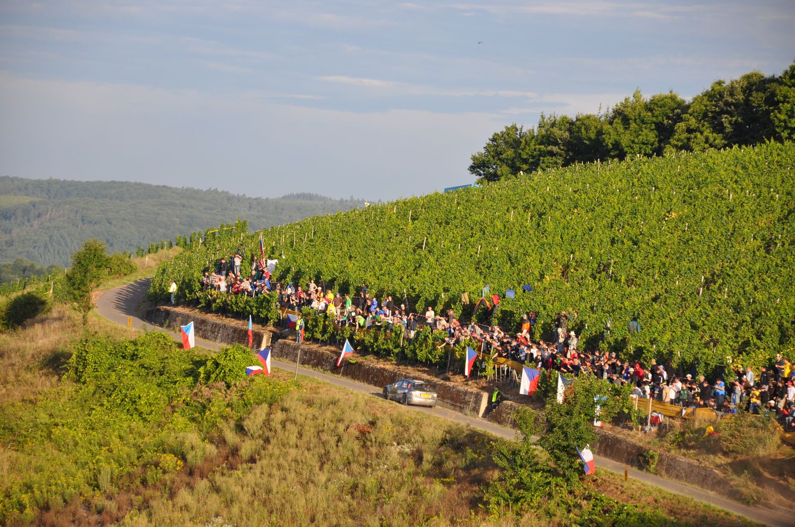 WRC-D 22-08-2010 083.jpg